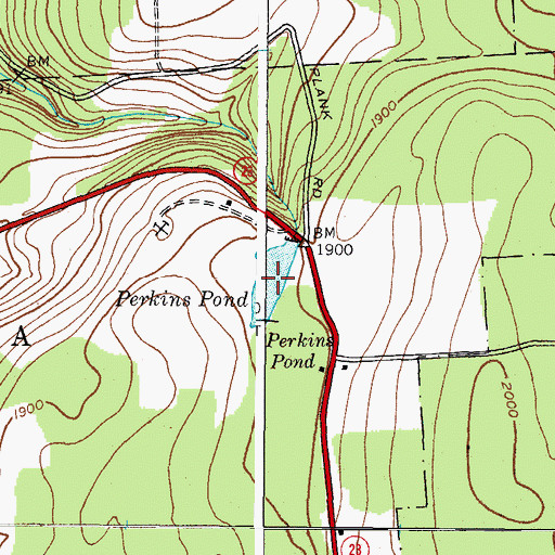 Topographic Map of Perkins Pond, NY
