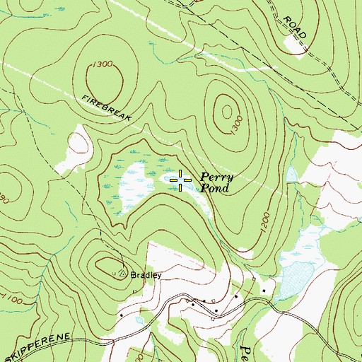 Topographic Map of Perry Pond, NY