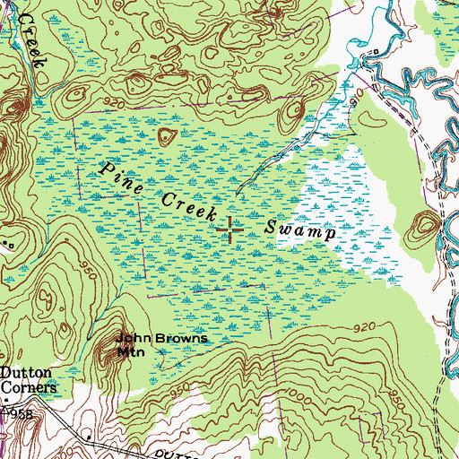 Topographic Map of Pine Creek Swamp, NY