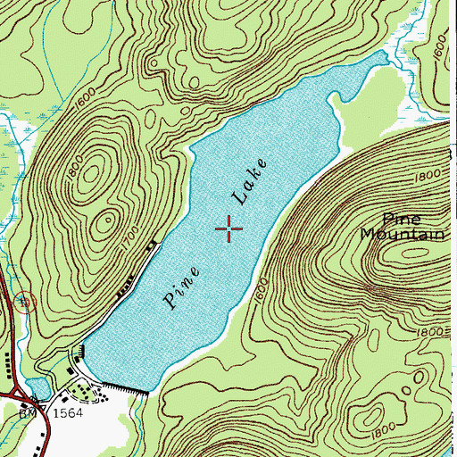 Topographic Map of Pine Lake, NY