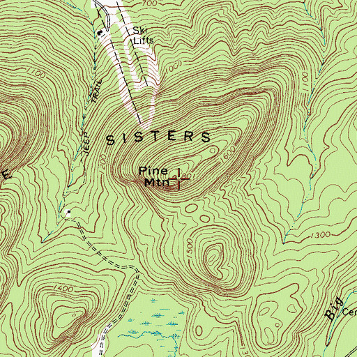 Topographic Map of Pine Mountain, NY