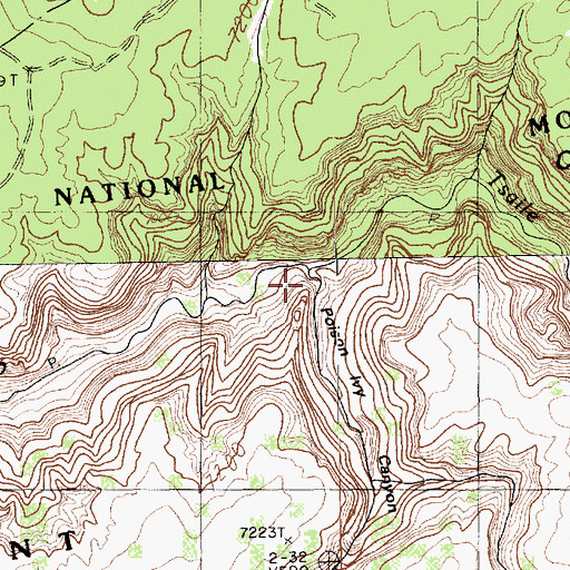 Topographic Map of Poison Ivy Canyon, AZ