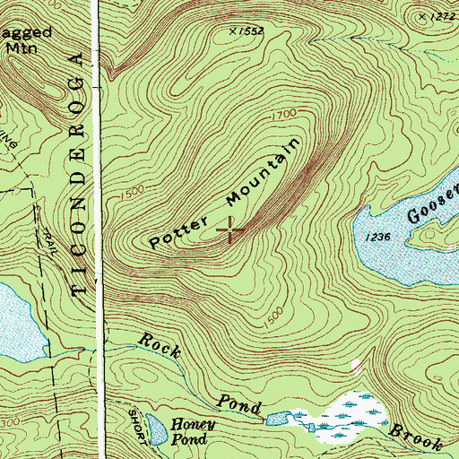 Topographic Map of Potter Mountain, NY