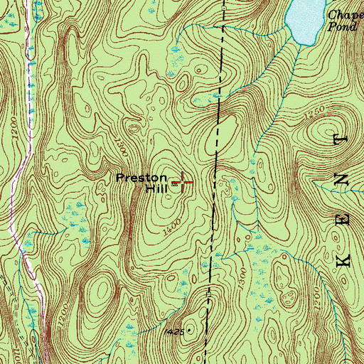 Topographic Map of Preston Hill, NY