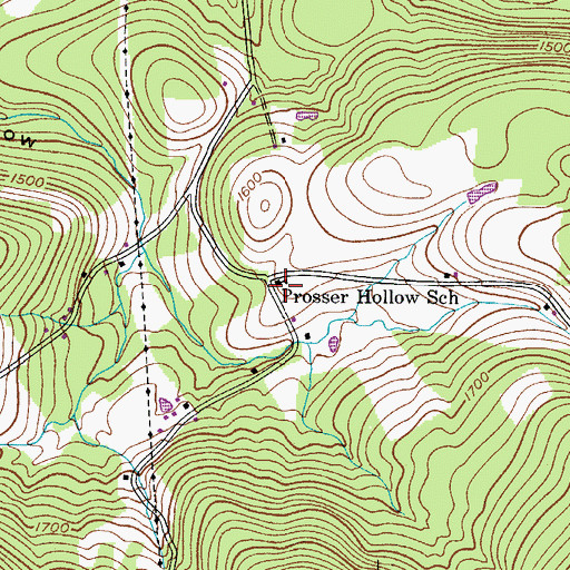 Topographic Map of Prosser Hollow School, NY