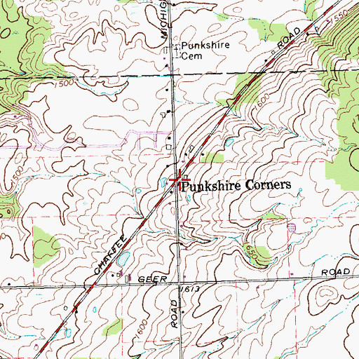 Topographic Map of Punkshire Corners, NY