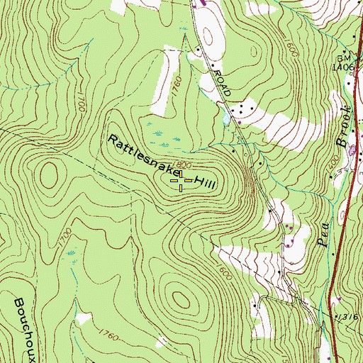 Topographic Map of Rattlesnake Hill, NY
