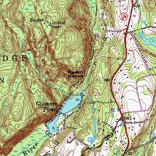 Topographic Map of Raven Rocks, NY