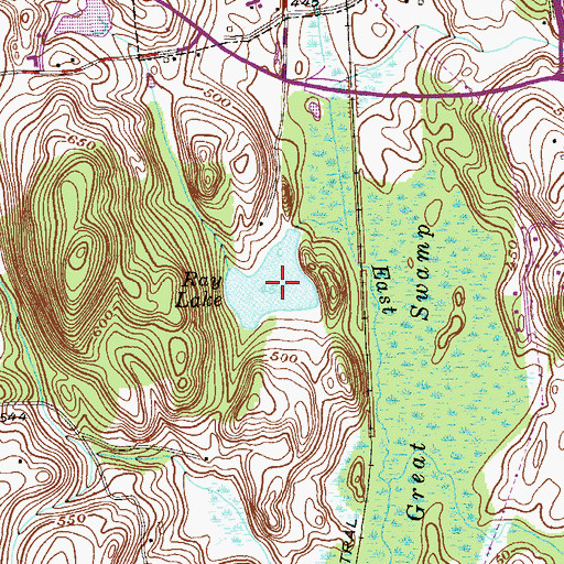 Topographic Map of Ray Lake, NY