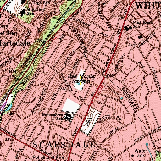 Topographic Map of Red Maple Swamp, NY