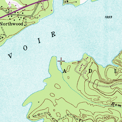 Topographic Map of Remus Brook, NY