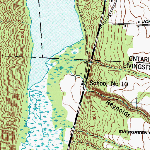 Topographic Map of Reynolds Gully, NY