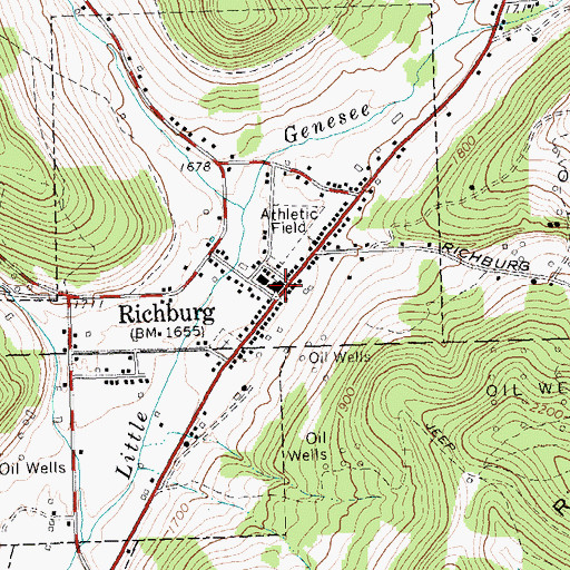 Topographic Map of Richburg, NY