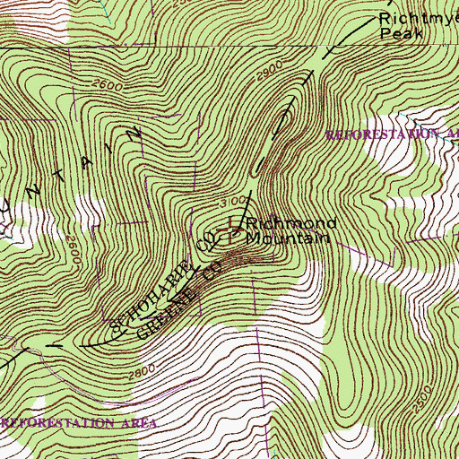 Topographic Map of Richmond Mountain, NY