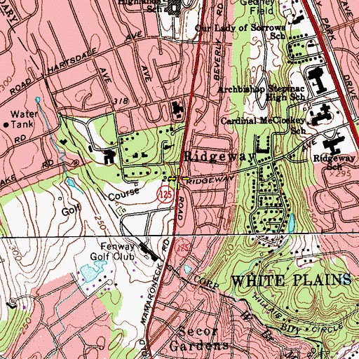 Topographic Map of Ridgeway, NY