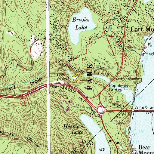 Topographic Map of Roe Pond, NY