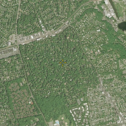 Aerial/Satellite Image of Roslyn Estates, NY