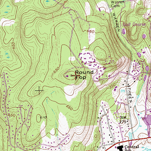 Topographic Map of Round Top, NY