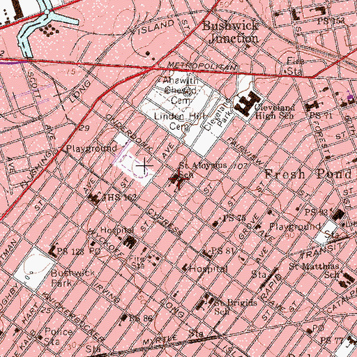 Topographic Map of Saint Aloysius School, NY