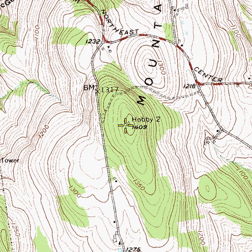 Topographic Map of Silver Mountain, NY