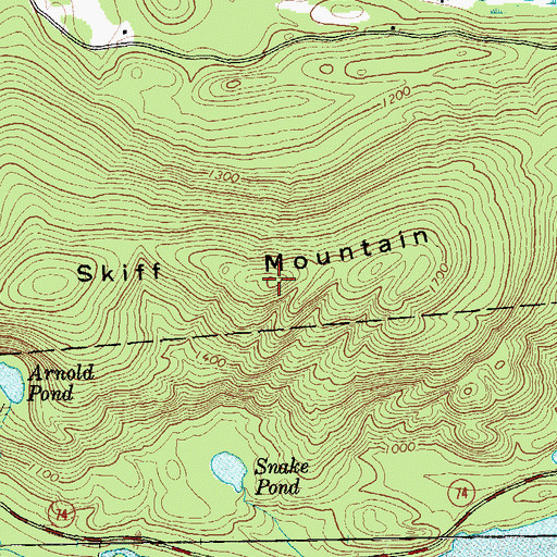 Topographic Map of Skiff Mountain, NY