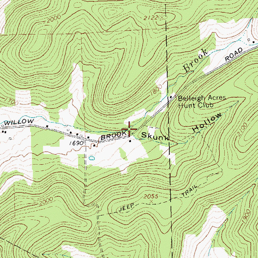 Topographic Map of Skunk Hollow, NY