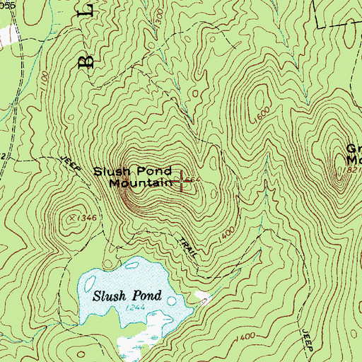 Topographic Map of Slush Pond Mountain, NY