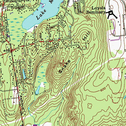 Topographic Map of Snake Hill, NY