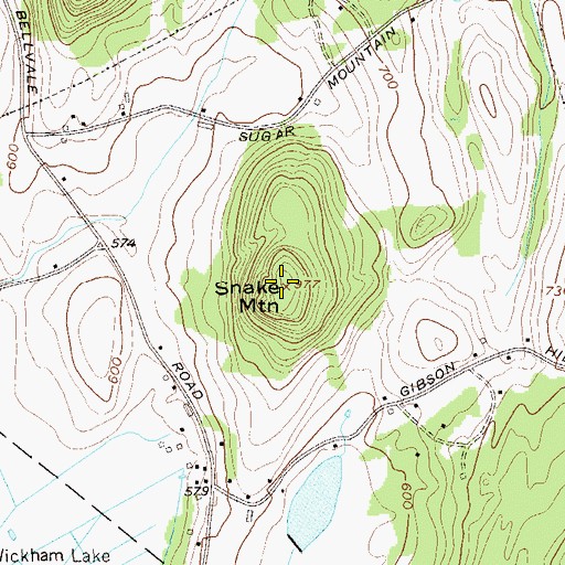 Topographic Map of Snake Mountain, NY