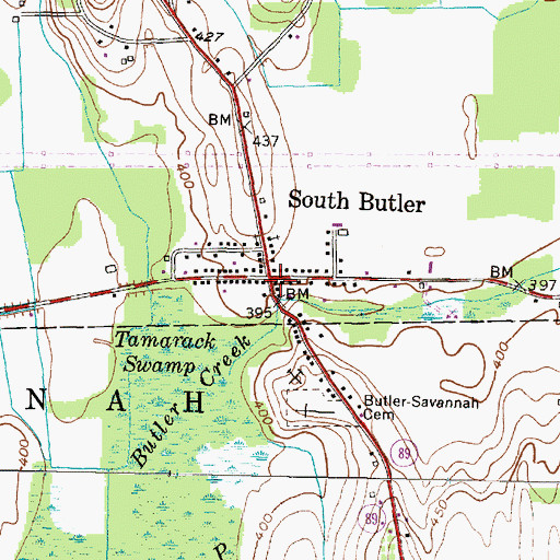 Topographic Map of South Butler, NY