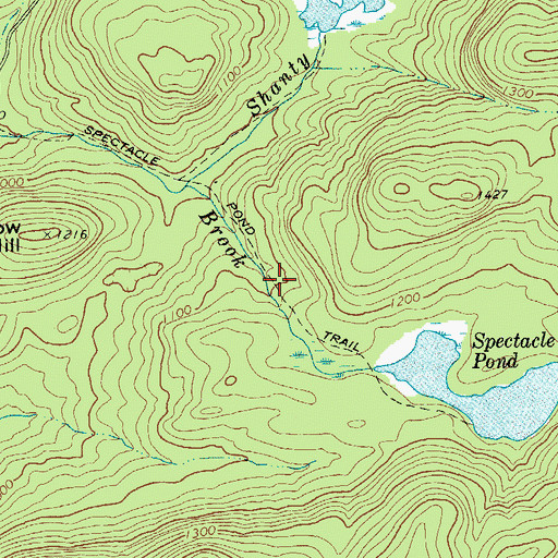 Topographic Map of Spectacle Pond Trail, NY