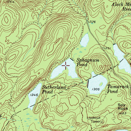 Topographic Map of Sphagnum Pond, NY