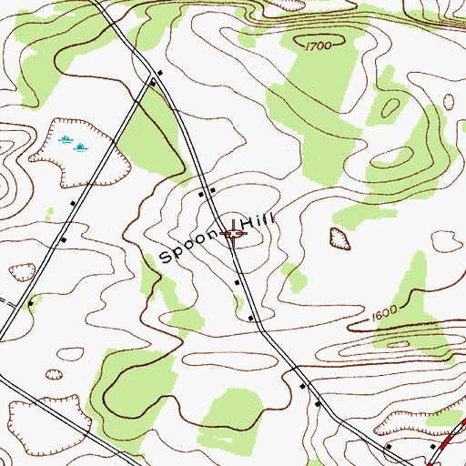 Topographic Map of Spoon Hill, NY