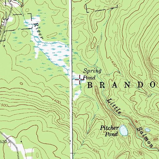 Topographic Map of Spring Pond, NY