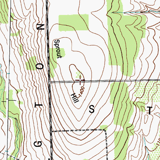 Topographic Map of Sprout Hill, NY