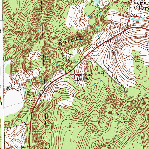 Topographic Map of Sprout Lake, NY