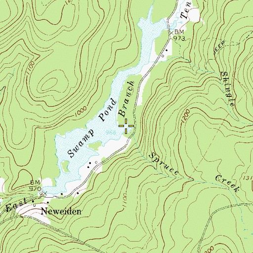 Topographic Map of Spruce Creek, NY
