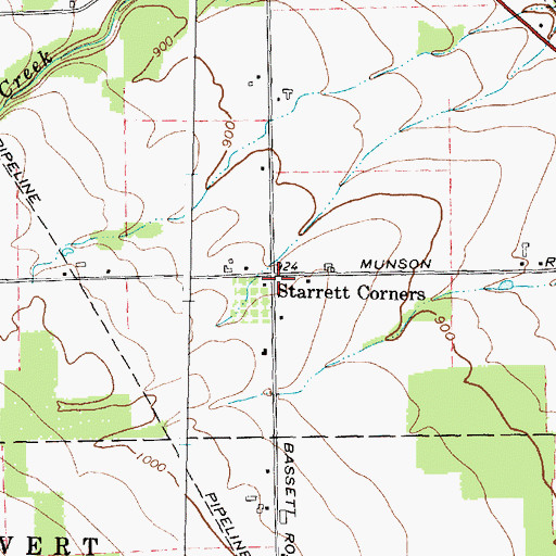 Topographic Map of Starrett Corners, NY