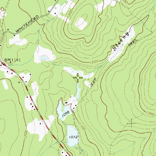 Topographic Map of Steeny Kill, NY