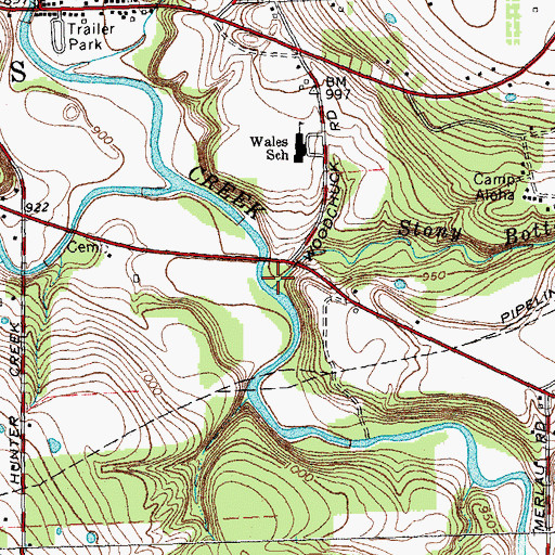 Topographic Map of Stony Bottom Creek, NY