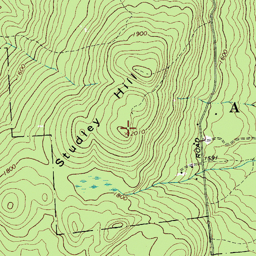 Topographic Map of Studley Hill, NY