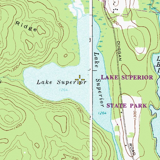 Topographic Map of Lake Superior, NY