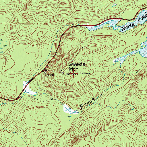 Topographic Map of Swede Mountain, NY