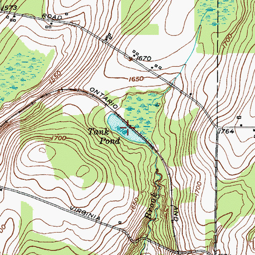 Topographic Map of Tank Pond, NY