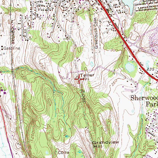 Topographic Map of Teller Hill, NY