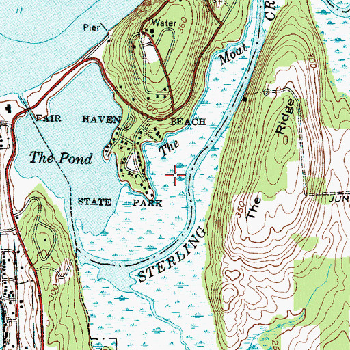 Topographic Map of The Moat, NY