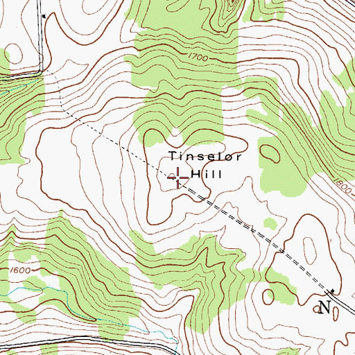Topographic Map of Tinselor Hill, NY