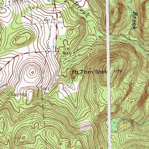 Topographic Map of Mount Tom Stein, NY