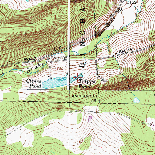 Topographic Map of Tripps Pond, NY