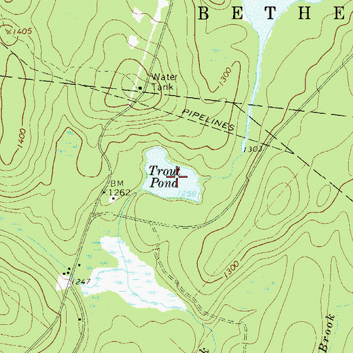 Topographic Map of Trout Pond, NY